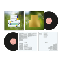 Everything Was Beautiful Standard Vinyl (Spanish Version)